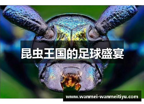 昆虫王国的足球盛宴